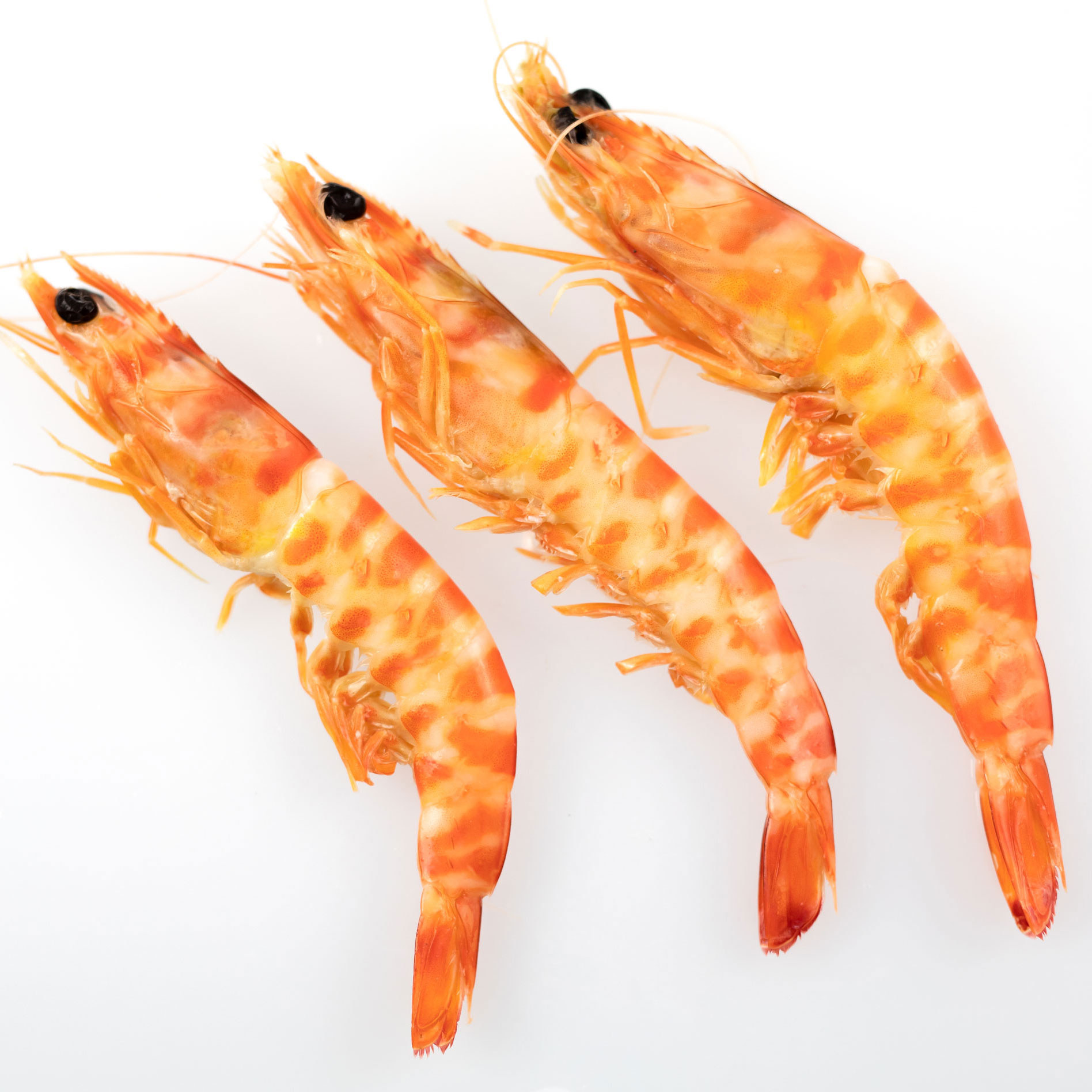 Langostino Tigre - Imagen 2