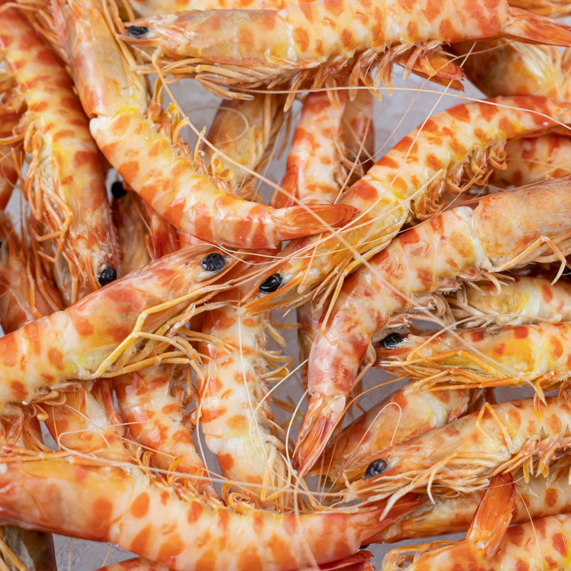 Langostino Tigre - Imagen 3
